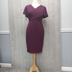 Ralph Lauren Formal Purple Dress Cap Sleeve V Neck Knee Length Size 4 New